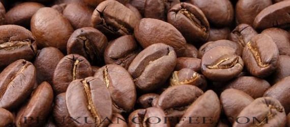 Cà phê hạt Arabica cầu đất giá sỉ